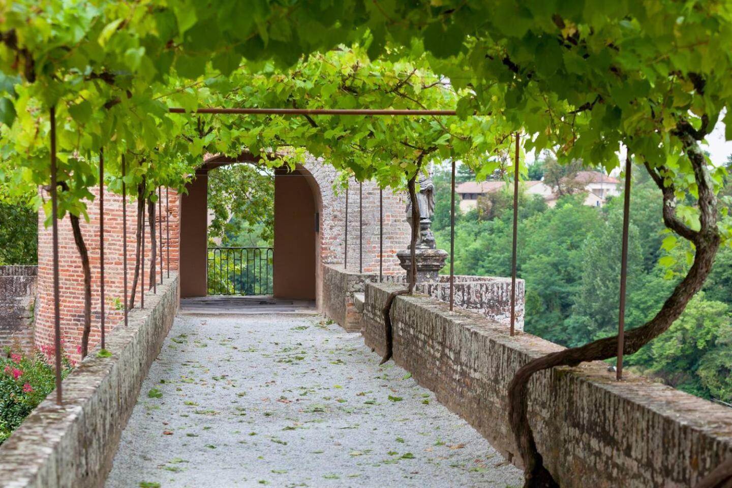Appartement Albi Parking Gratuit Exteriör bild